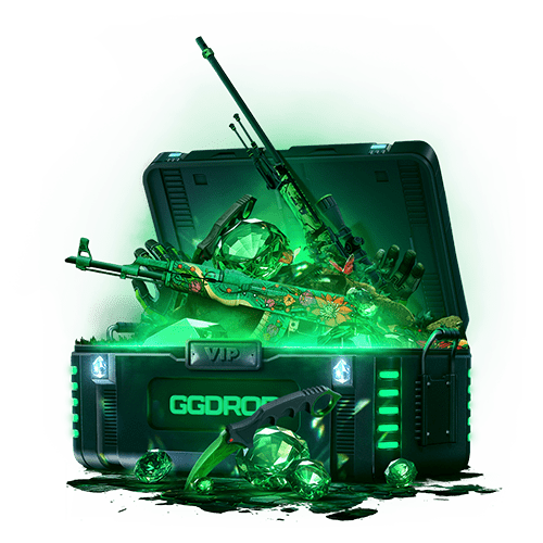 VIP Case